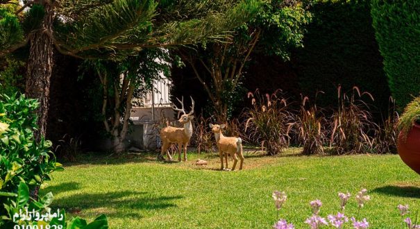 فضای-سبز