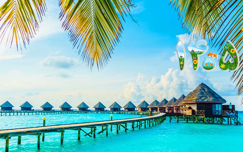 تور کیش ۴ روزه