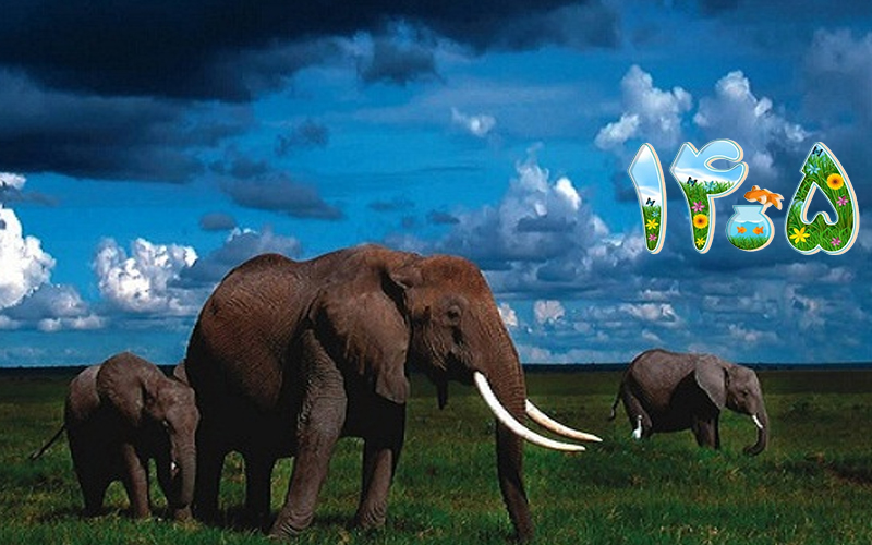 تور آفریقای جنوبی ۱۱ روزه با پرواز امارات