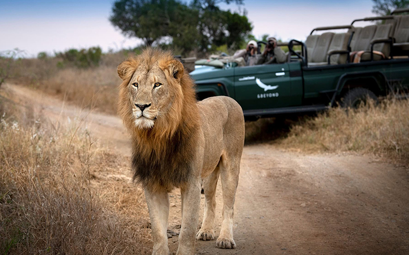 تور آفریقای جنوبی ۱۱ روزه با پرواز امارات