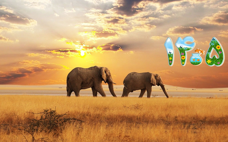 تور آفریقای جنوبی ۱۱ روزه با پرواز امارات