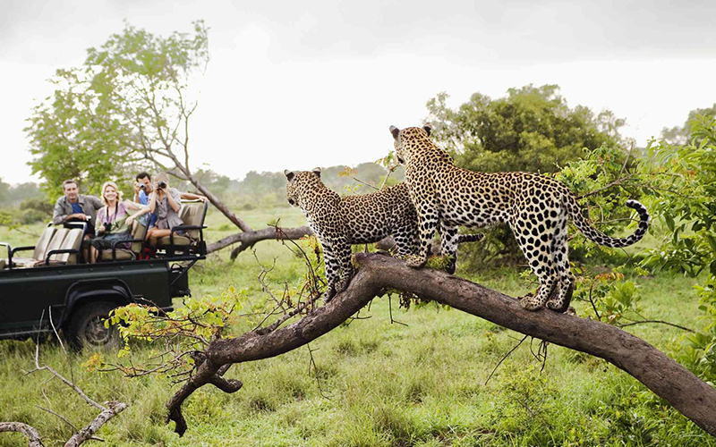 تور آفریقای جنوبی ۱۱ روزه با پرواز امارات