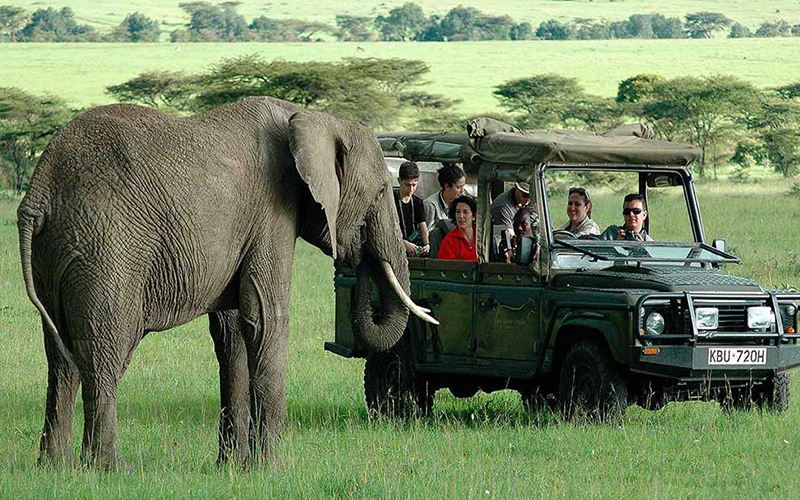 تور آفریقای جنوبی ۱۱ روزه با پرواز امارات